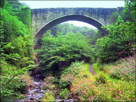 Causey Arch peunte ferroviario mas antiguo