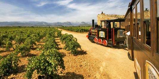 Mallorca Wine Tour